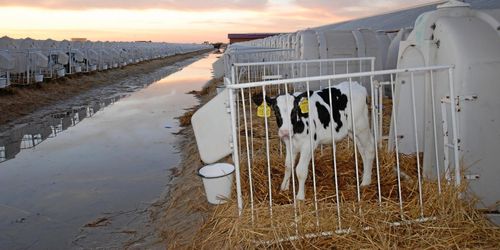 6 000 kor i senaste anläggningen