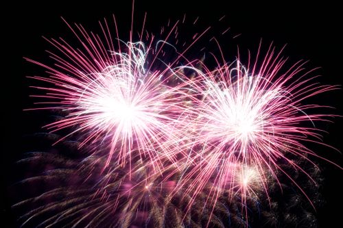 Drabbad djurägare: Förbjud fyrverkerier