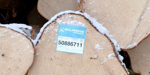 Mellanskog sänker priserna