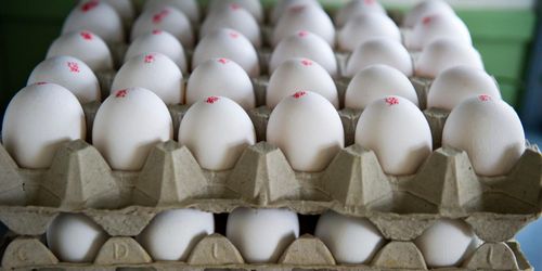 Svensk äggmarknad spås ett turbulent år