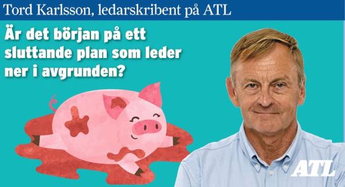 Utveckla svenska modellen ansvarsfullt