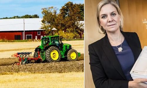 Kort bäst-före-datum i höstbudgetens satsningar