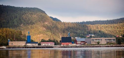 Södra säljer norsk produktion