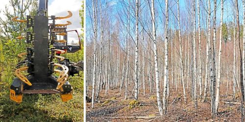 Flowcut ska öppna upp ny biomarknad