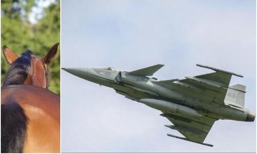Förlorade föl när stridflygplan flög lågt