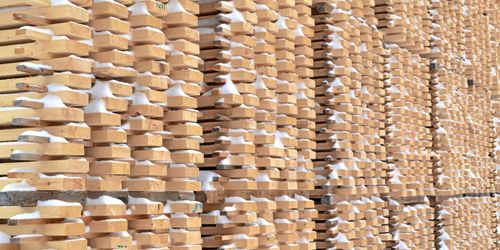 Skogen bra exportaffär ifjol