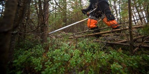 Virkesbörsen breddar med e-handel för skogsvård
