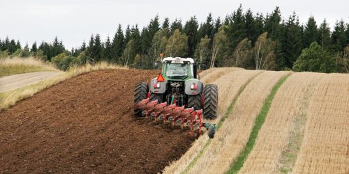 ”Plöjningsfritt är inte lösningen”