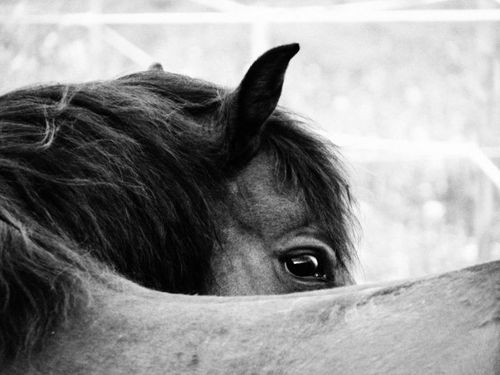 Ny lösning sätter stopp för penicillinchock