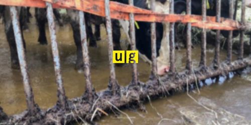 ”Krav undviker eller förvränger viktiga fakta”