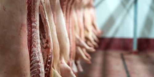 Så många djur slaktades andra kvartalet