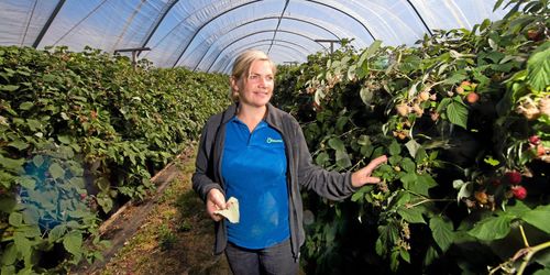 Tog över familjegården men satsade på en egen nisch