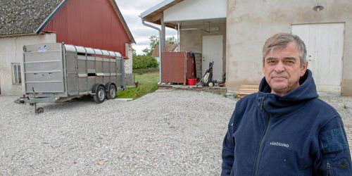 Gav upp slakt efter alla kontroller