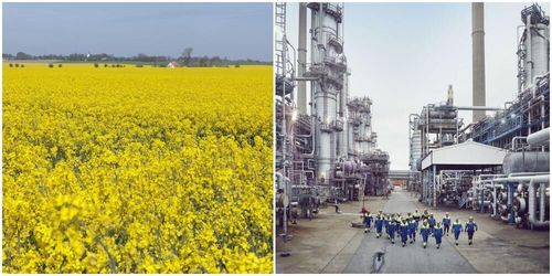 Preem miljardsatsar på rapsolja