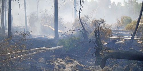 Stora kommunikationsproblem vid storbranden