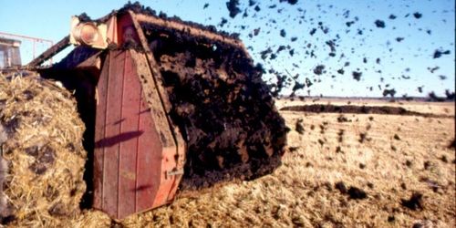 Miljögifterna i slammet måste tas på allvar