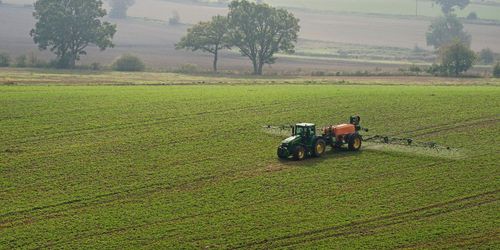 Reglone skadligare än vad forskare tidigare trott