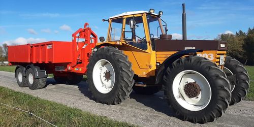 Slitstark 40-åring som sluppit skogsjobb