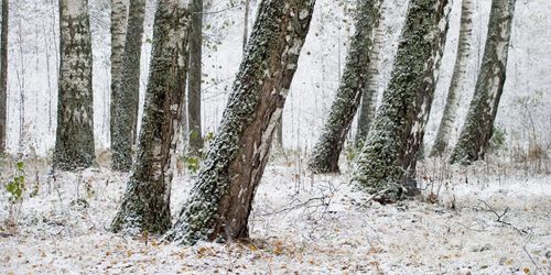 Replik: ”Samtliga borgerliga regeringar har försvarat systemet”