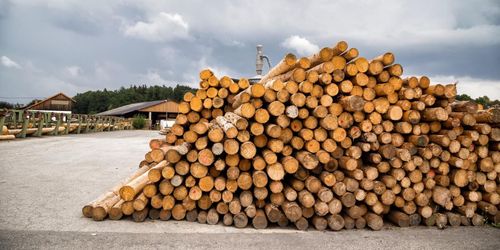 Sågverksägare tror på fler affärer