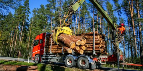 Kommuner stoppade timmerbilsutbildning