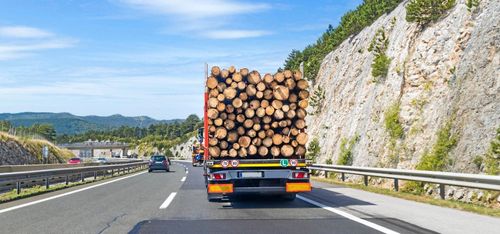 Ris och ros för ny vägskatt