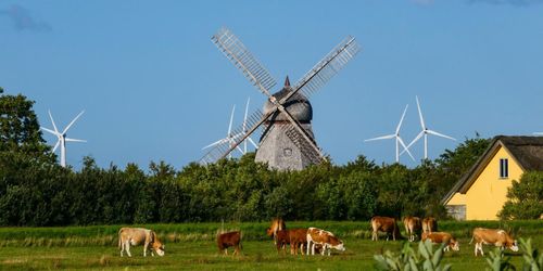 Ny tävling ska kora ”vildaste” kommunen