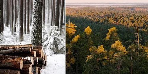 ”Äganderätten är hotad av politiska krafter”