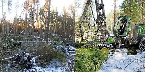 Mellanskog ger fullt stöd åt medlemmarna