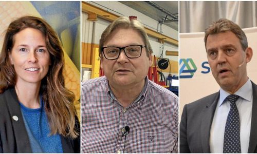 Granskning: Stor skillnad mellan gröna bolagen