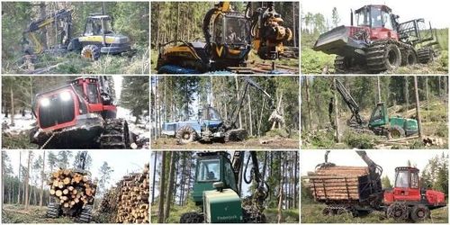 Tunga hjältar i skogen