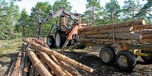 ”Se till den biologiska mångfalden – globalt”