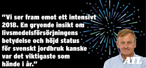 Så kan 2018 bli ett bra år