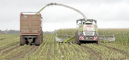 Jordberga tvingas nobba böndernas grödor