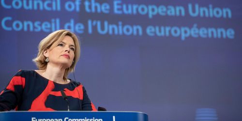 Medlemsländerna splittrade över Cap-reform