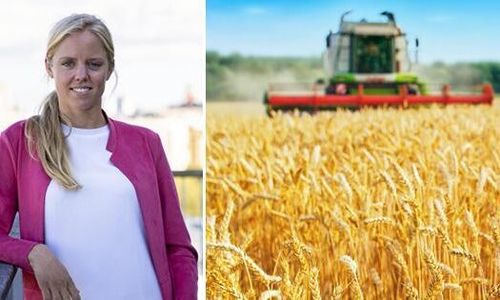 Låt marknaden sätta priset på spannmålen