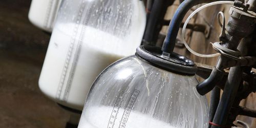 Mjölkprisindex upp – höjs med drygt 2 procent