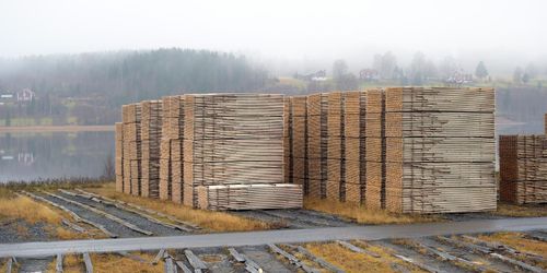 Vd:n som tjänar bäst i skogsbranschen