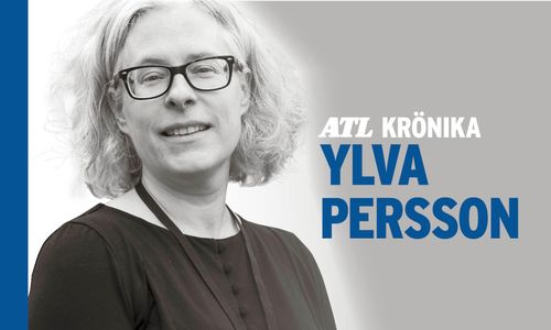 Byråkrat i allmänhetens tjänst