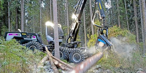 Rekordnivåer på avverkningsanmälningarna