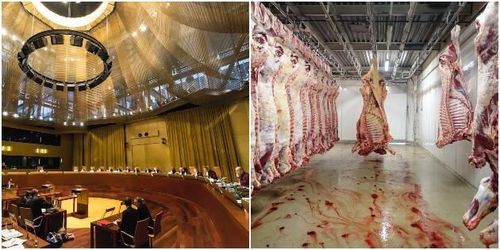 Toppjurist: Totalförbud av obedövad slakt olagligt