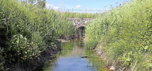 Maskgångar kan läcka bekämpningsmedel