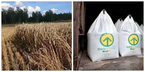 Pressade marginaler i ekoodlingen