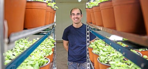 LED kastar nytt ljus över odlingen