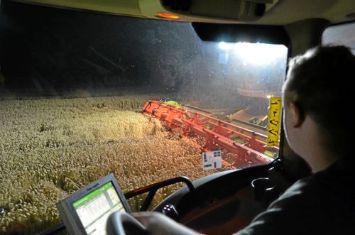 Det var svåra förhållanden vid årets tröskning om många tvingades köra både dag och natt. Här hämtar Simon Drevås, Bjällerups maskinstation Staffanstorp, spannmål från nattröskningen.
