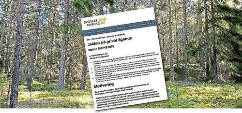 Skogsmotionärernas favoritämne