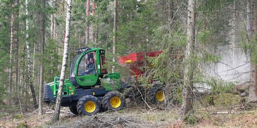 ATL TV: Kulor kan ge mer aska i skogen
