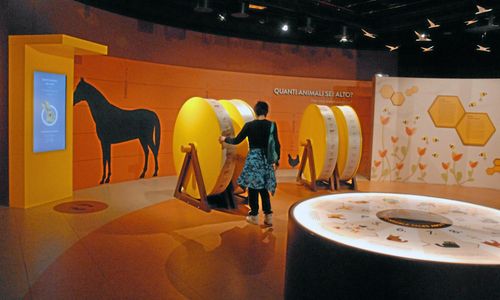 Nöjespark om bondekultur lockar en miljon besökare