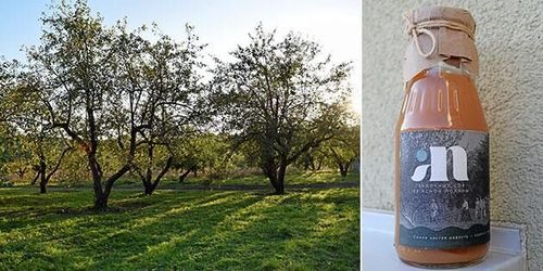 Tolstojs äpplen en god affär