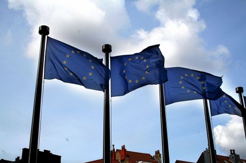 Miljöorganisationer lockade flest att svara